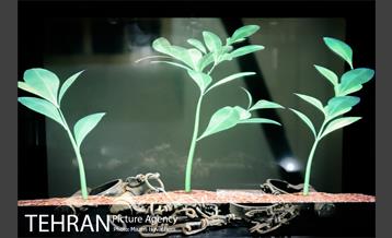 موزه مارکوف 23