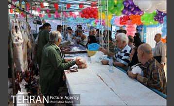 بازدید رییس شورای اسلامی شهر تهران و مدیر عامل سازمان میادین شهرداری تهران از مراکز عرضه بهداشتی دام 13