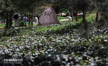 روز طبیعت در بوستان ملت 5