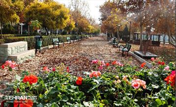 گذر پاییزی بوستان رازی 7
