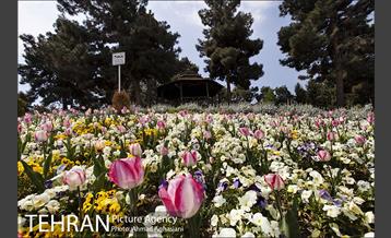 بوستان جنگلی سرخه حصار 5