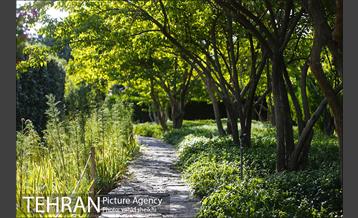 باغ گیاه شناسی ملی ایران  2