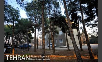 فراموش شدگان اداره منابع طبیعی در بوستان چیتگر 11