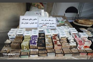 نمایشگاه عرضه تولیدات کسب و کارهای حامی شهر 29