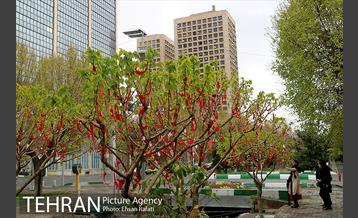 اکران هنرهای محیطی نوروزی در بلوارکشاورز 8