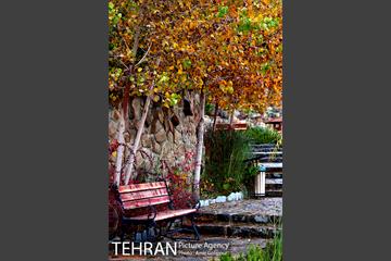 پاییز رنگ به رنگ در بوستان کوهستانی آبشار تهران‎ 6