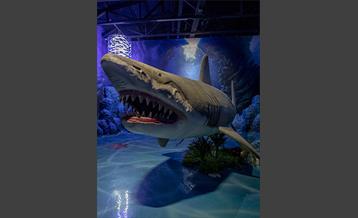 اقیانوس پارک