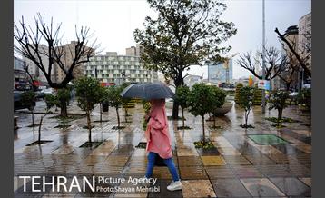بارش باران بهاری در تهران  11