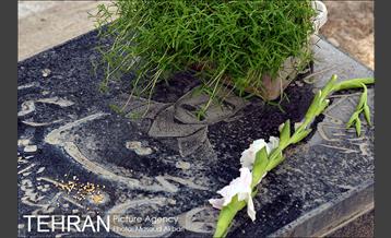 روزهای ابتدایی سال جدید در بهشت زهرا(س) 21