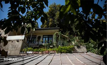 شهرنگار؛ درکه 7