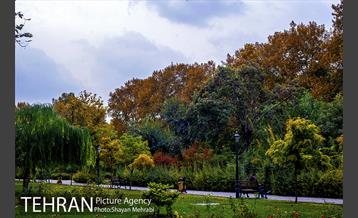 پاییز پارک شهر 15