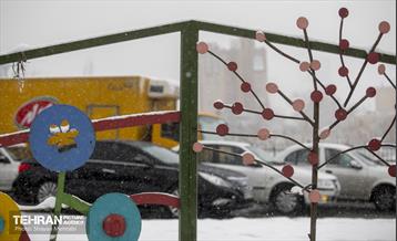 بارش برف زمستانی در تهران 8