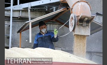 سیلوی گندم تهران 10