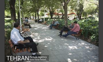 بوستان شفق‎ 28