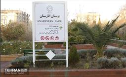 هشتادوششمین رویداد امیدوافتخار 42