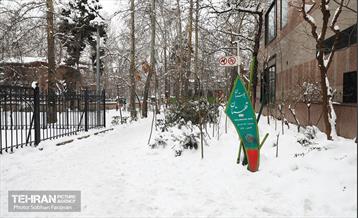 عصر زمستانی تهران 12