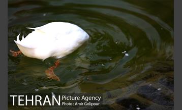 بوستان گفتگو‎ 16