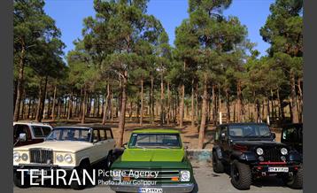 کارناوال ماشین های کلاسیک 14