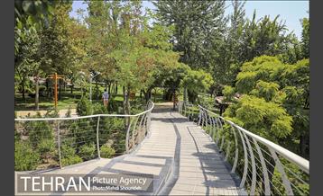 تنفس طبیعت زیبای منطقه ۷ در روزهای حضور کمرنگ شهروندان 13