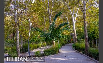 پاییز بوستان لاله 7