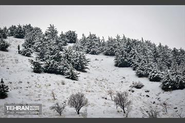 درکه پس از بارش برف  5