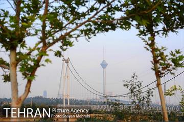 بوستان نهج البلاغه (فاز2) 8