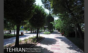 بوستان تمدن (گلبرگ) 14