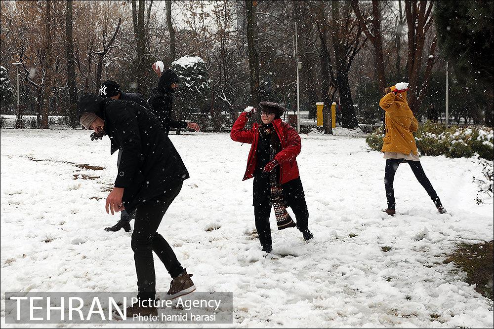 روز برفی بلوار کشاورز 12