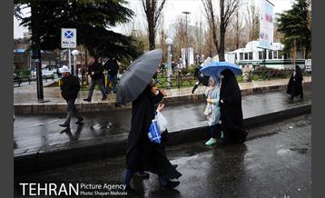 بارش باران در تهران 12
