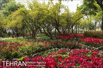 بوستان باغ ایرانی 4