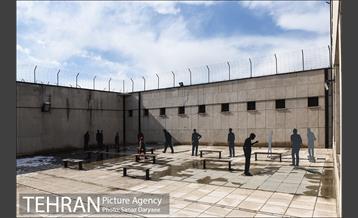 روز برفی در باغ موزه قصر‎ 3