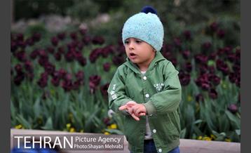 باغ ایرانی (بوستان مهندس مختاری) 13