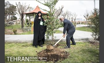 درختکاری و لانه گذاری کبوتر در بوستان بعثت 26