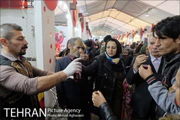 هفتمین جشنواره انار فرهنگسرای اشراق 11