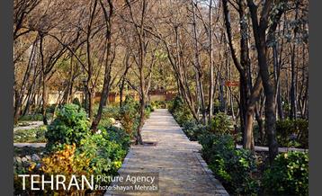 پاییز باغ ایرانی 22