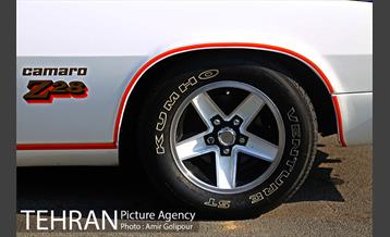 کارناوال ماشین های کلاسیک 5