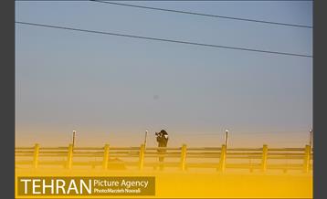 تور عکاسی بزرگراه شهید نجفی رستگار 19