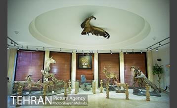 موزه طبیعت و حیات وحش دارآباد تهران 13