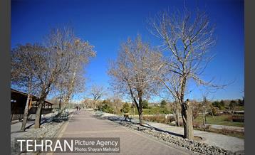 بوستان پلیس 45