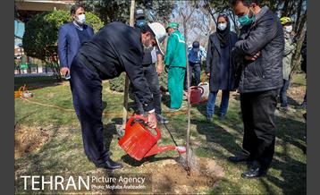 آیین درختکاری دوچرخه سواران تهران 18