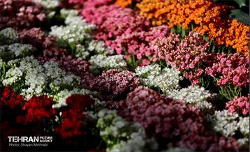 بیستمین نمایشگاه بین‌المللی گل و گیاه 48