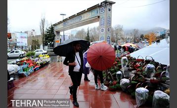 بارش باران در تهران 10