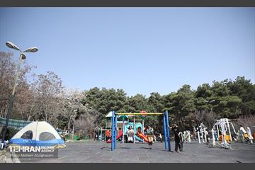 روز طبیعت در پارک جنگلی لویزان 12