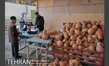 میدان میوه وتره بار شهید غیبی شهرری 30