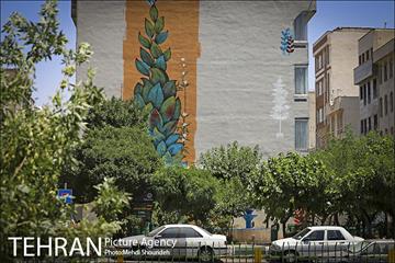 دیوارهای چشم نواز در منطقه 7