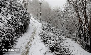 بارش برف زمستانی در تهران 18