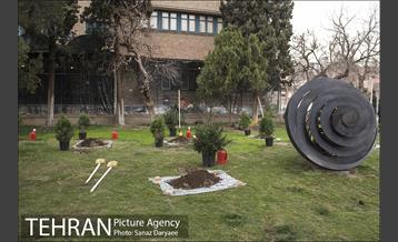 آیین کاشت " درخت فرهنگ و هنر و رسانه"  26