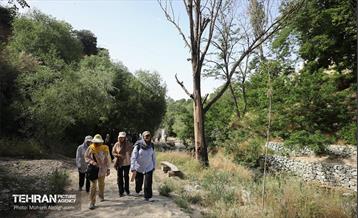 همایش پیاده روی خانوادگی در رود دره فرحزاد 51