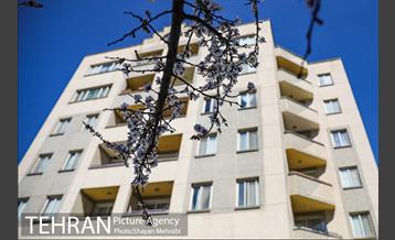 بهار در تهران 16