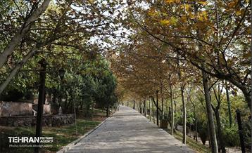 طبیعت پاییزی باغ راه فدک تهران 31